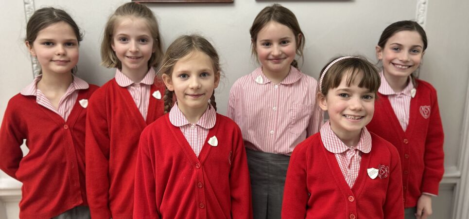 Introducing the OVS Wellbeing Ambassadors